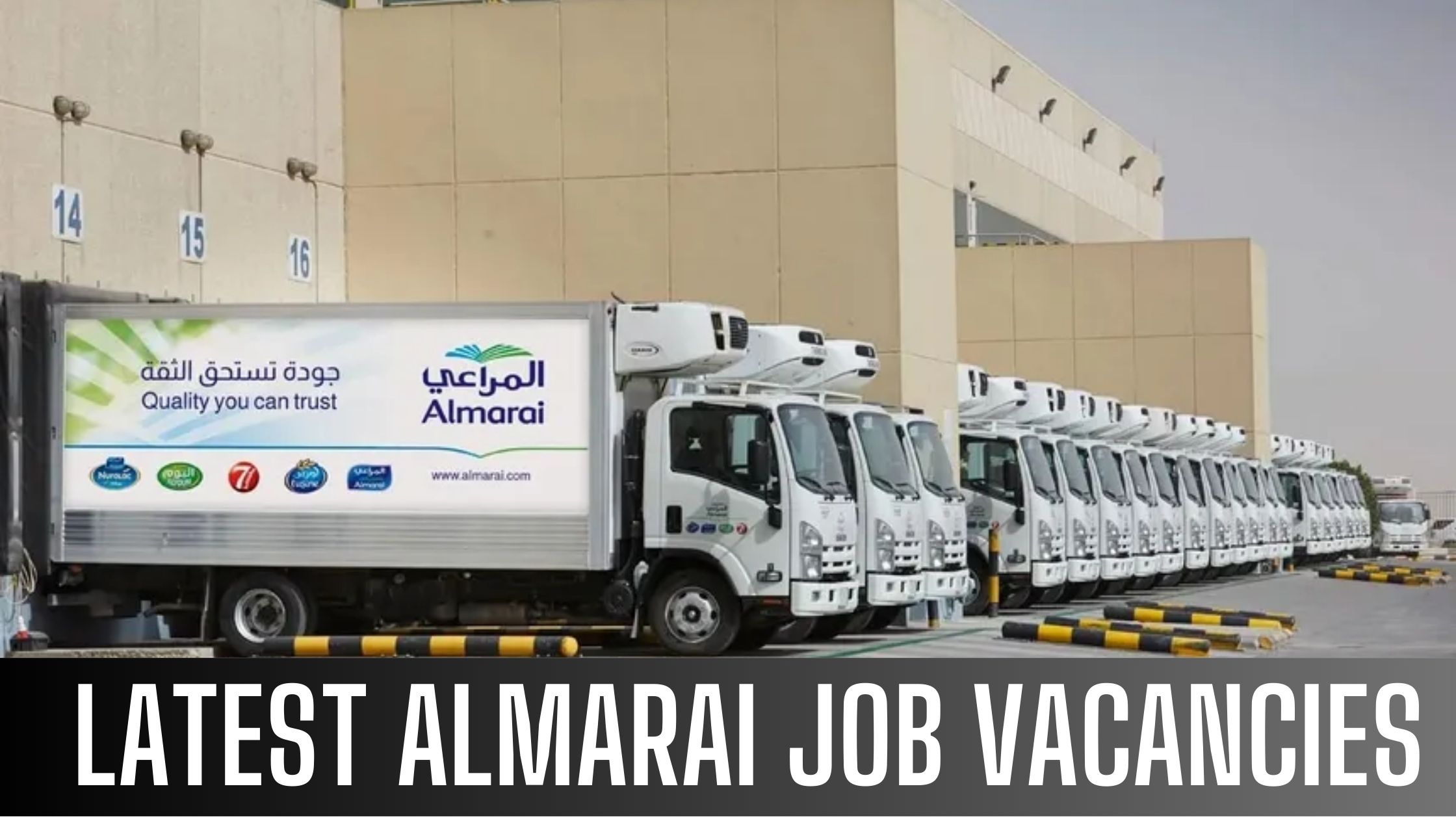 Almarai Jobs Across UAE & Saudi Arabia Apply Now