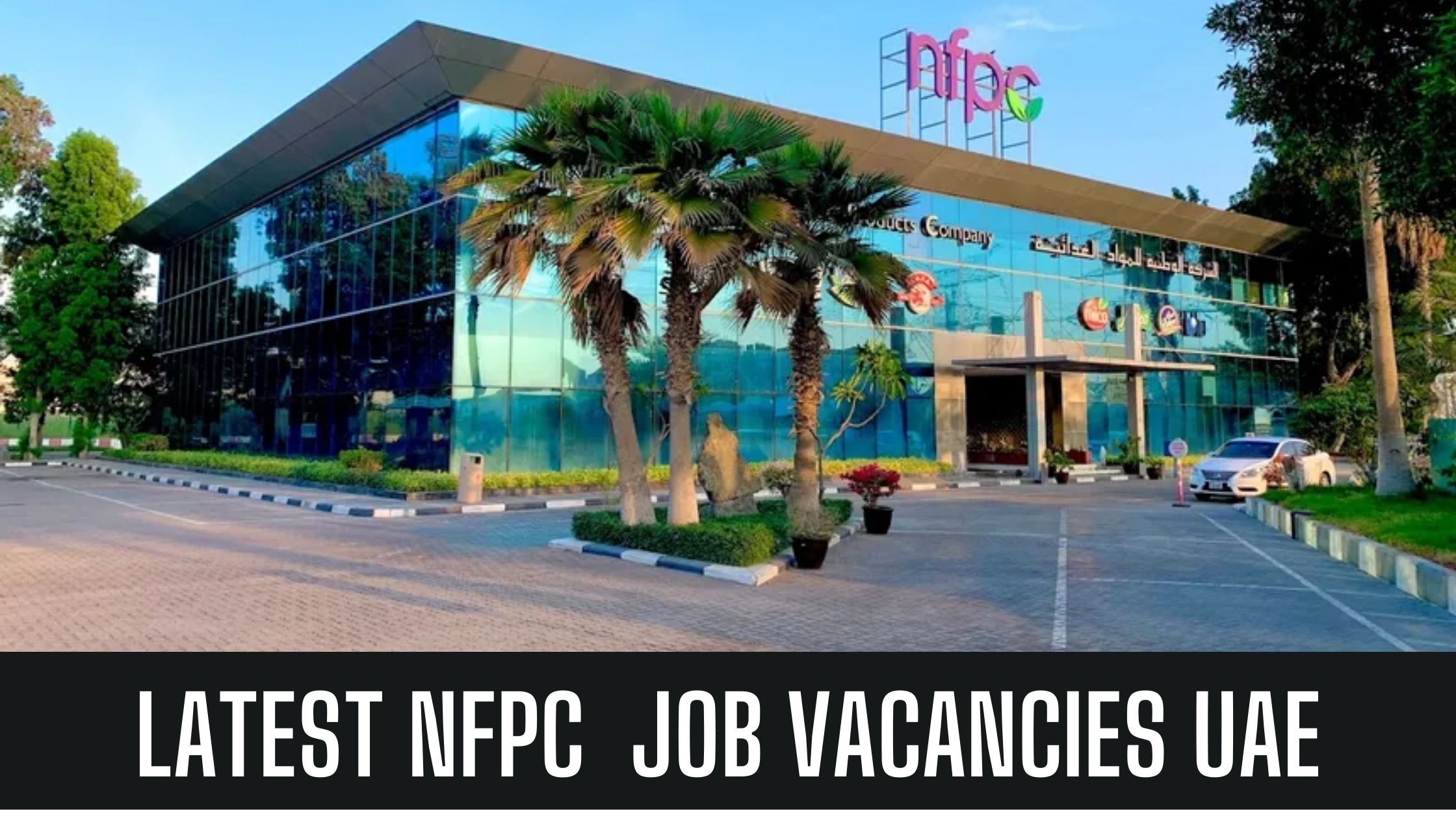 NFPC Job Vacancy 2024 National Food Products Company UAE