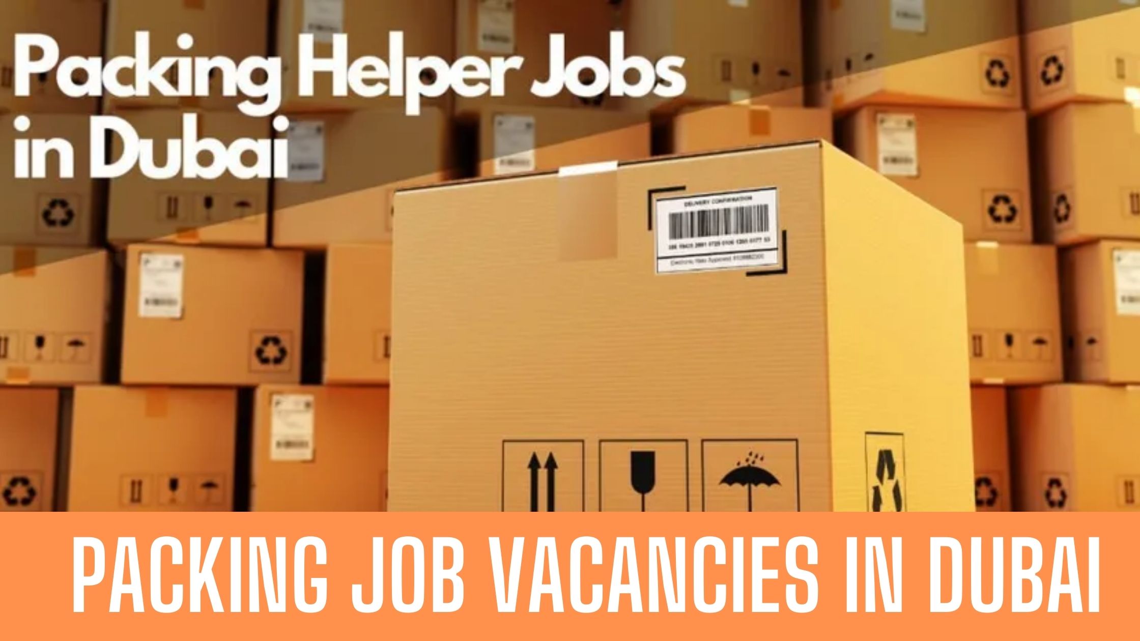 Packing Helper Job in Dubai with Free Visa and Accommodation Apply Now