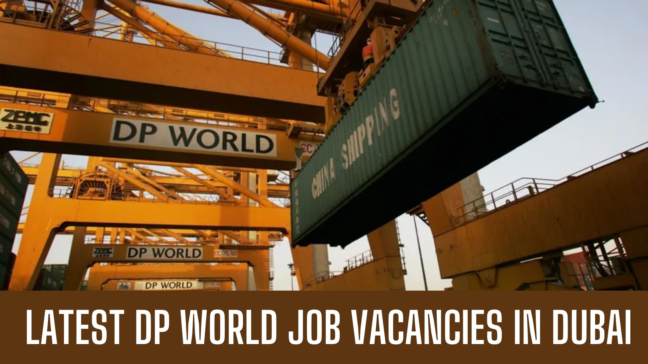 DP World Jobs 2024 Latest Vacancies in Dubai Multiple Government Jobs