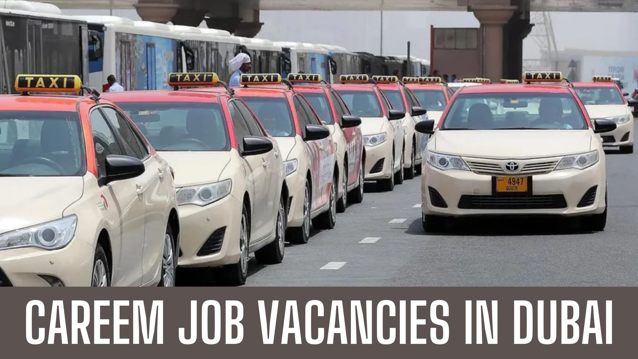 Careem Dubai Latest Jobs in Careem Taxi Dubai Apply Now Latest Vacancies