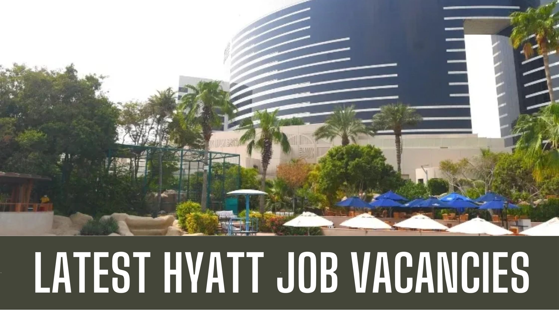 Hyatt Jobs 2024 UAE Multiple Job Vacancies Apply Now