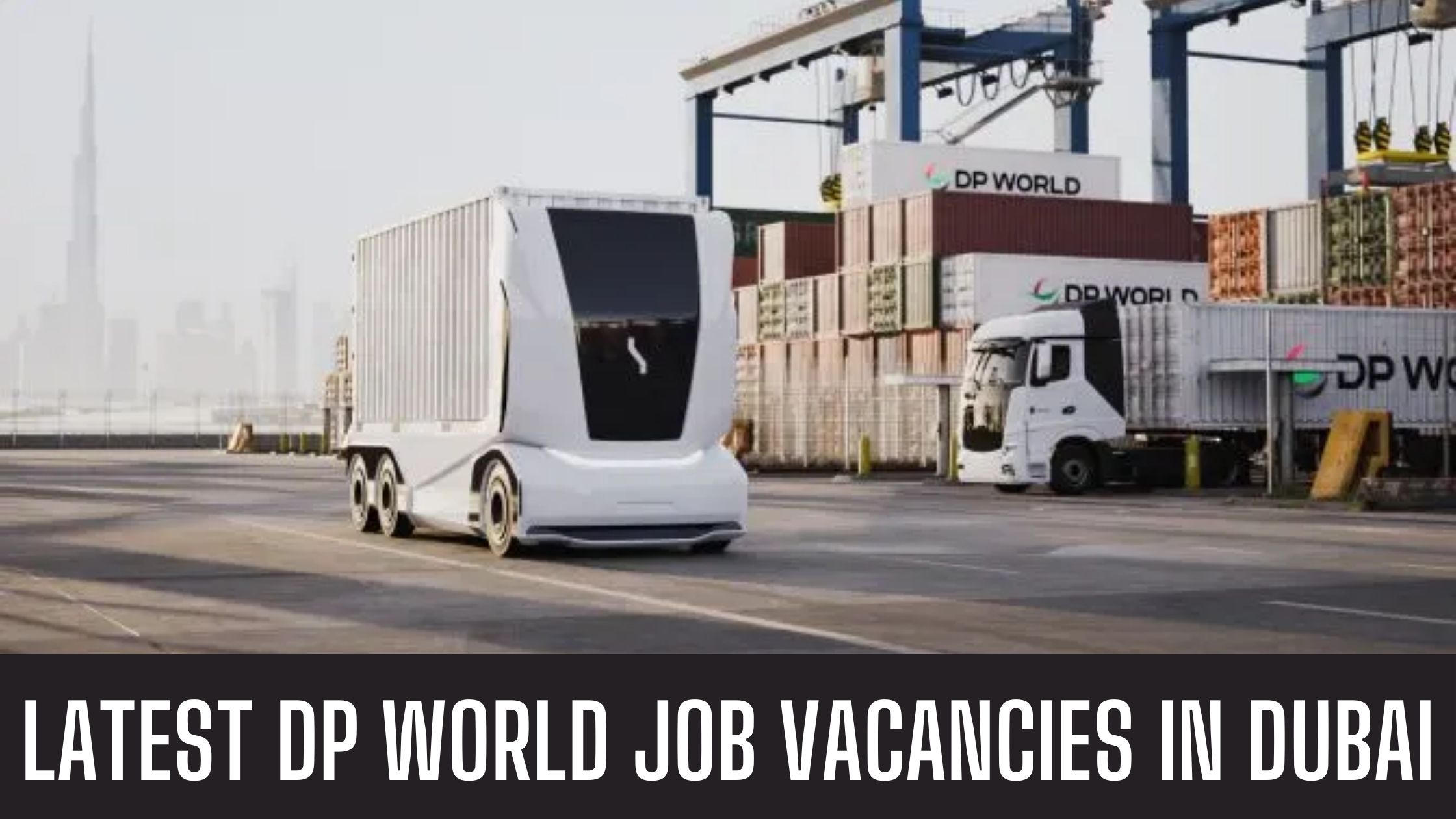 DP World 2024 in Dubai Mul Government Job Vacancies