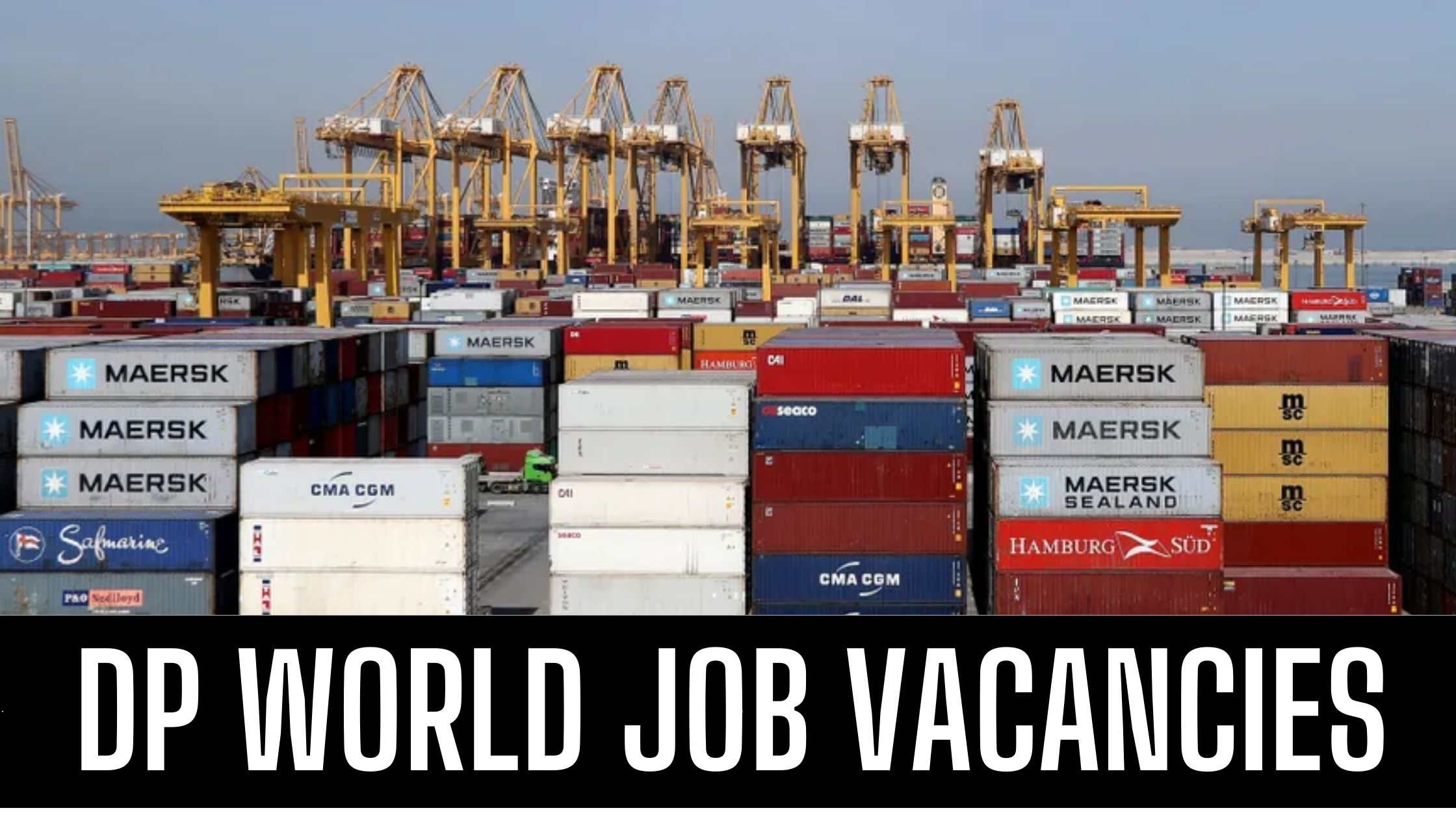 DP World Jobs 2024 Latest Vacancies in Dubai Government Job Vacancies Apply Now