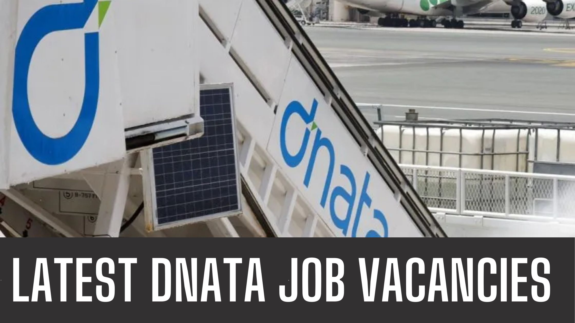 Dnata Jobs 2024 Dubai National Air Transport Association Apply Now