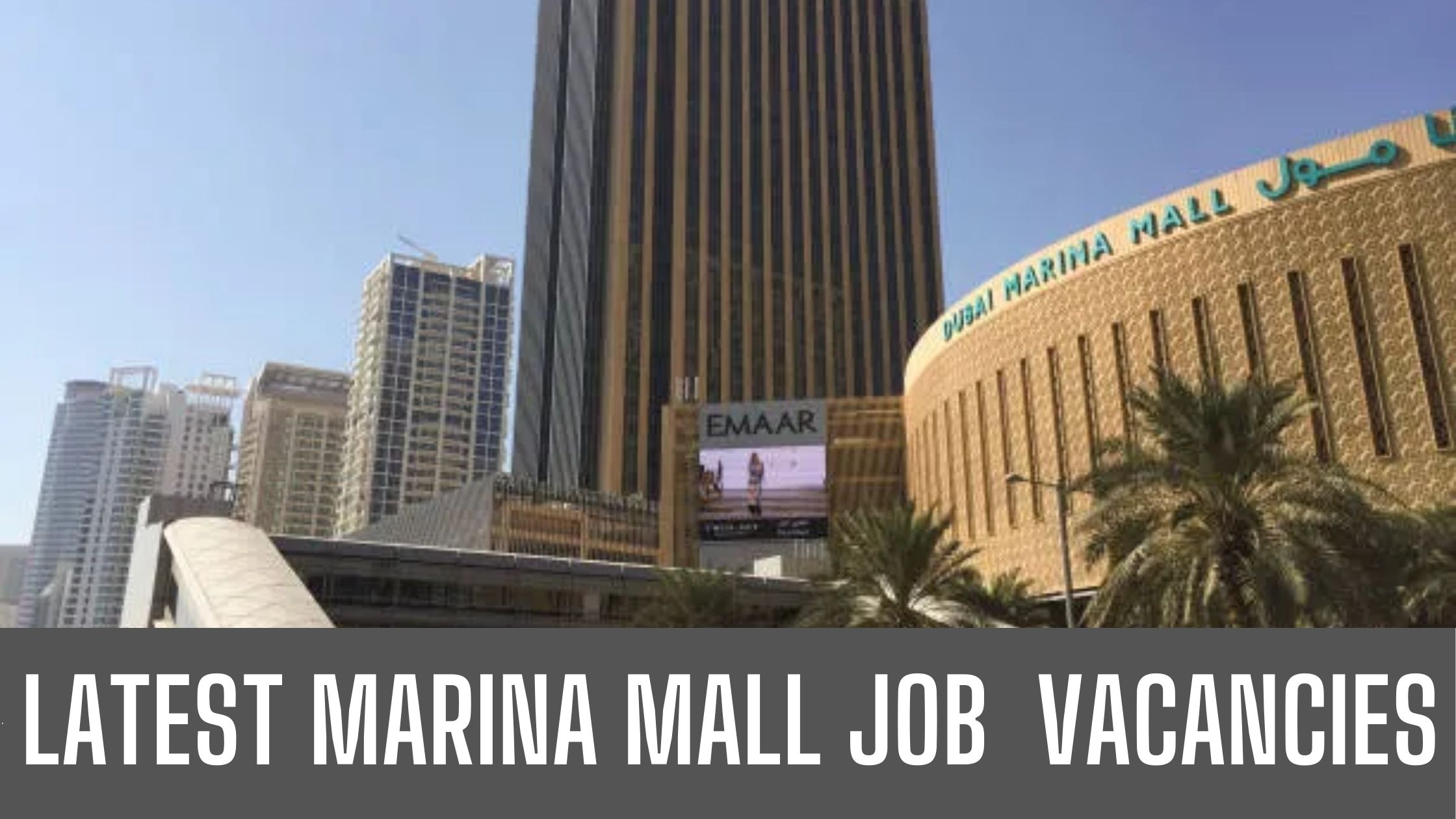 Marina Mall Announced Job Vacancy in Dubai Good Salary and Other Benefits