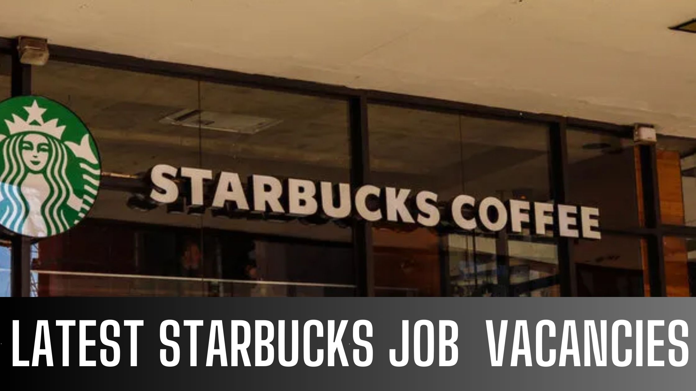 Starbucks 2024: UAE-KSA-Egypt-Qatar Attractive Salary and Other Benefits