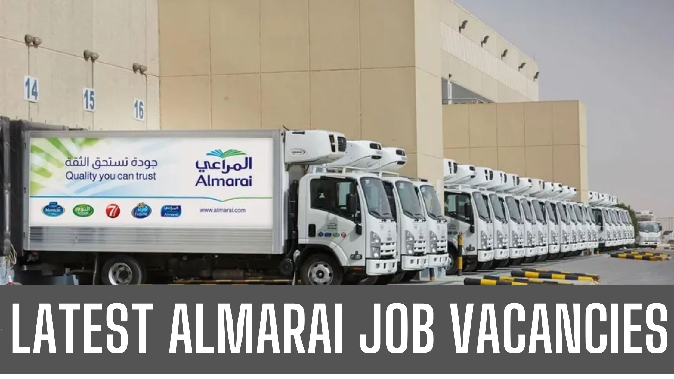 Almarai Jobs Across UAE & Saudi Arabia Attractive Salary Apply Now