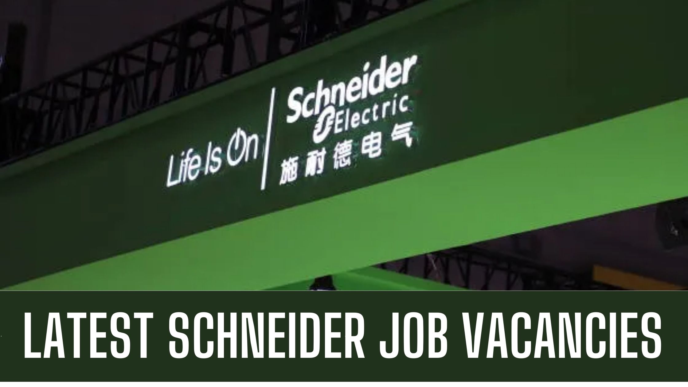 Schneider Electric Jobs In Dubai Announced Latest Vacancies Apply now