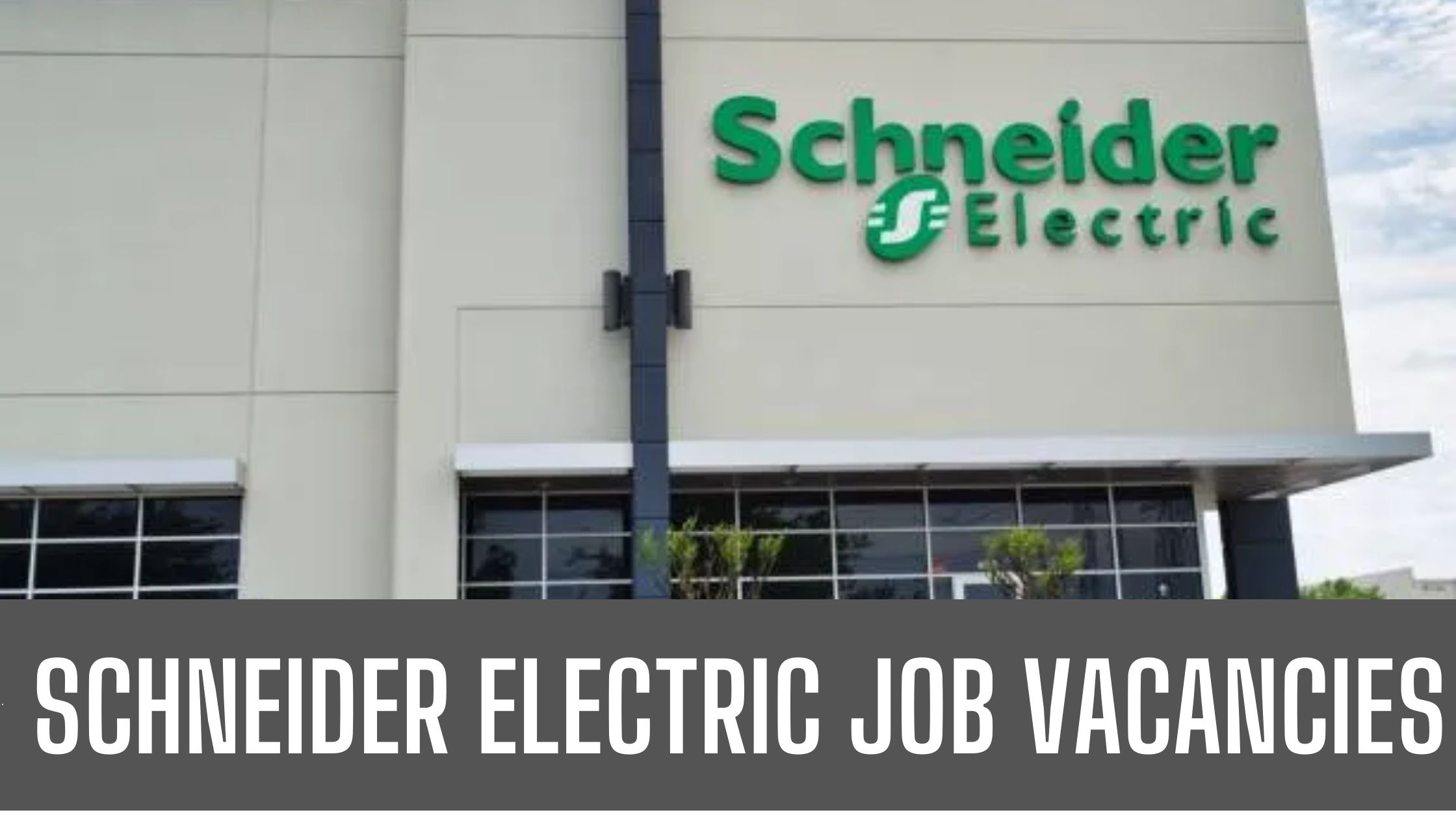 Schneider Electric Jobs In Dubai Announced Latest Job Vacancies Apply Now