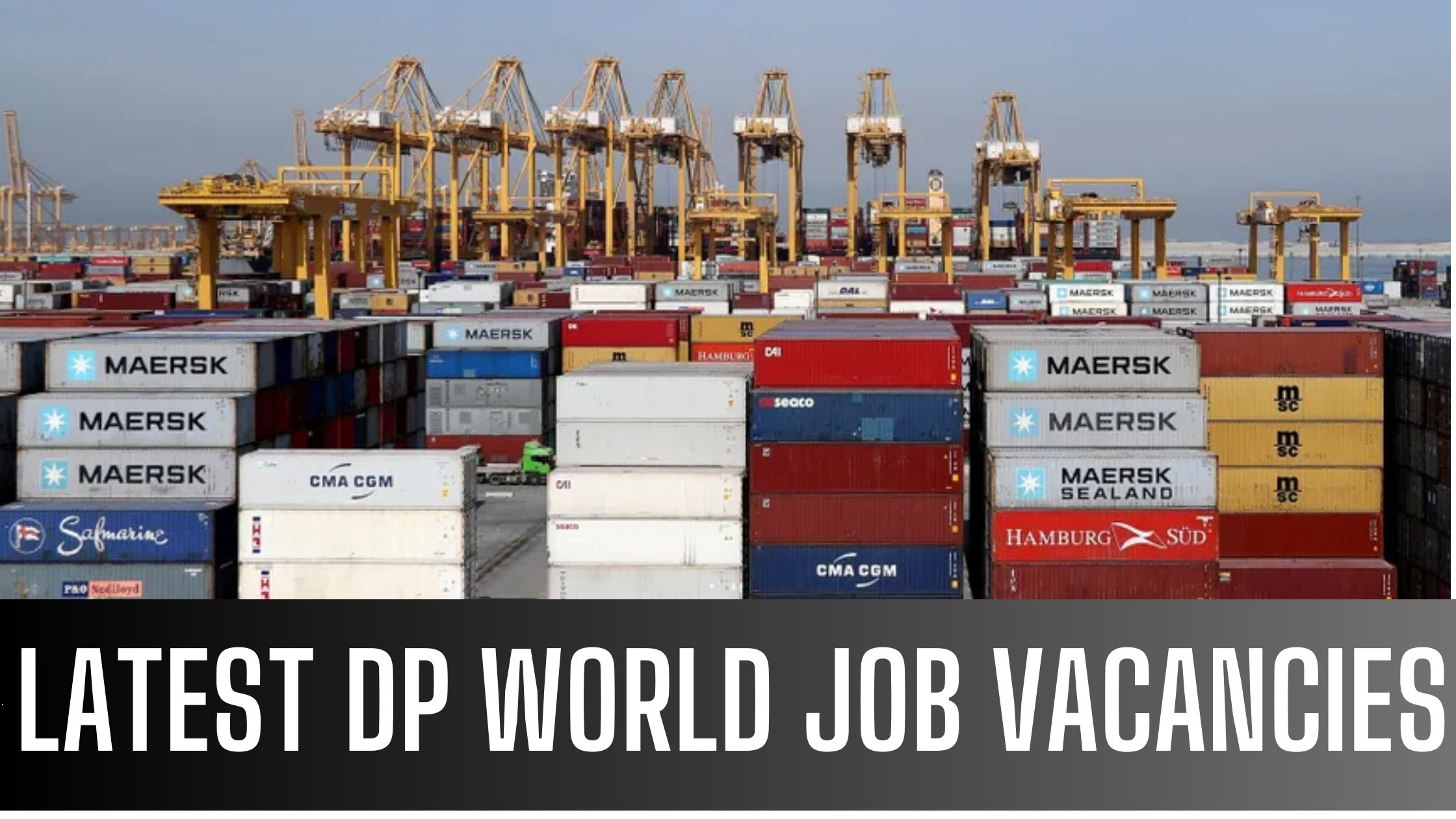 DP World Jobs 2024 in Dubai Multiple Government Job Vacancies