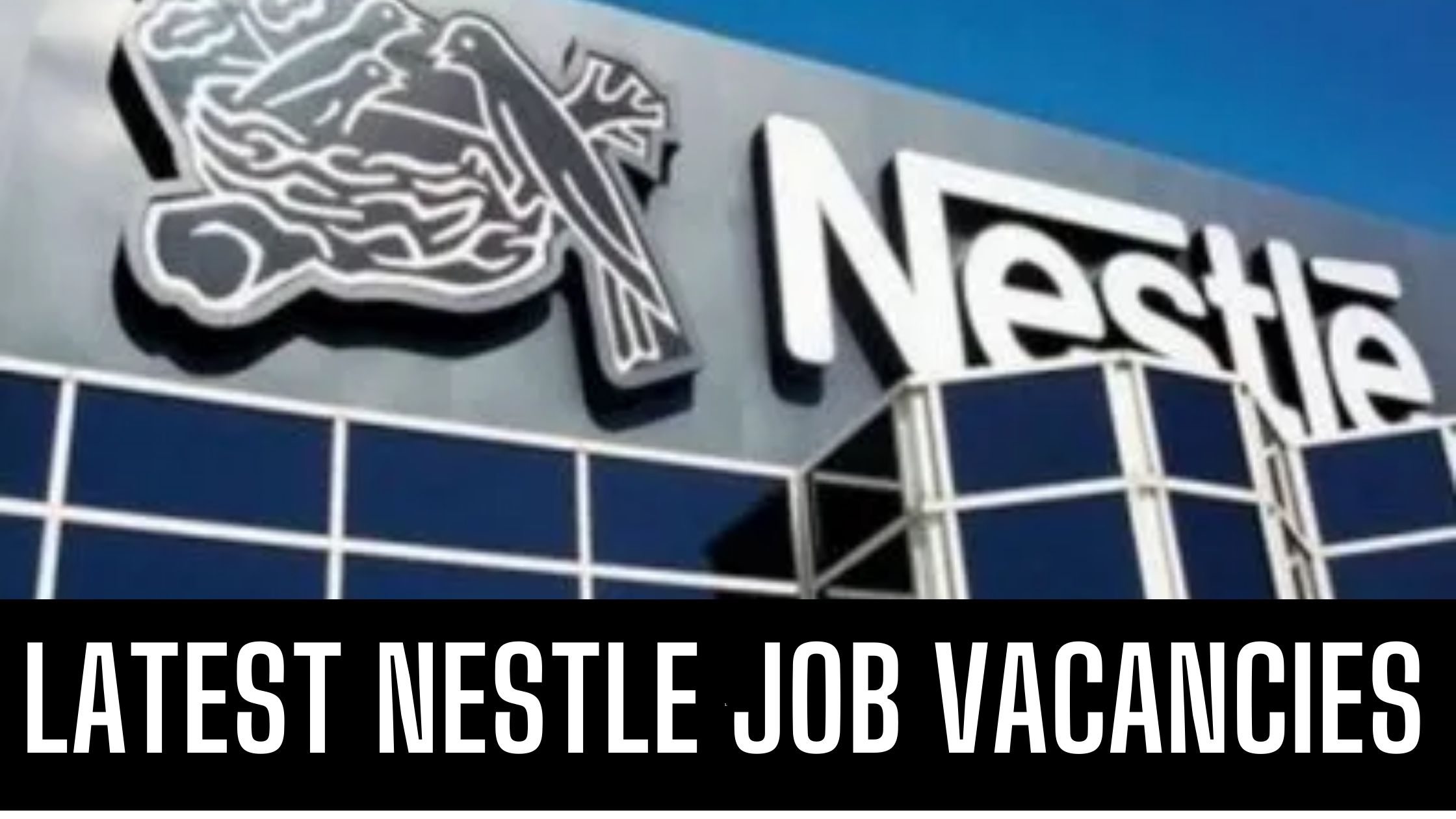 Nestle Jobs 2024 UAE Latest Job Vacancies in Dubai Apply Now