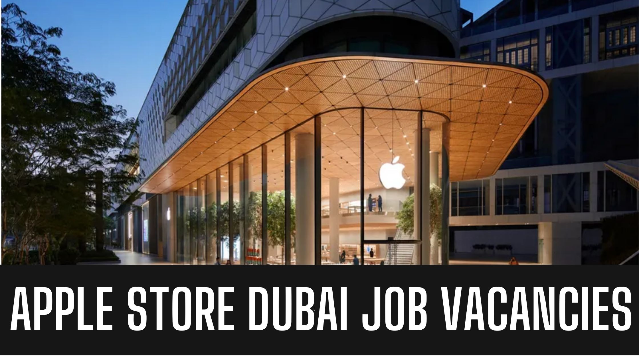 Apple Store UAE-KSA Jobs in Apple Store Dubai Latest Vacancies Apply Now