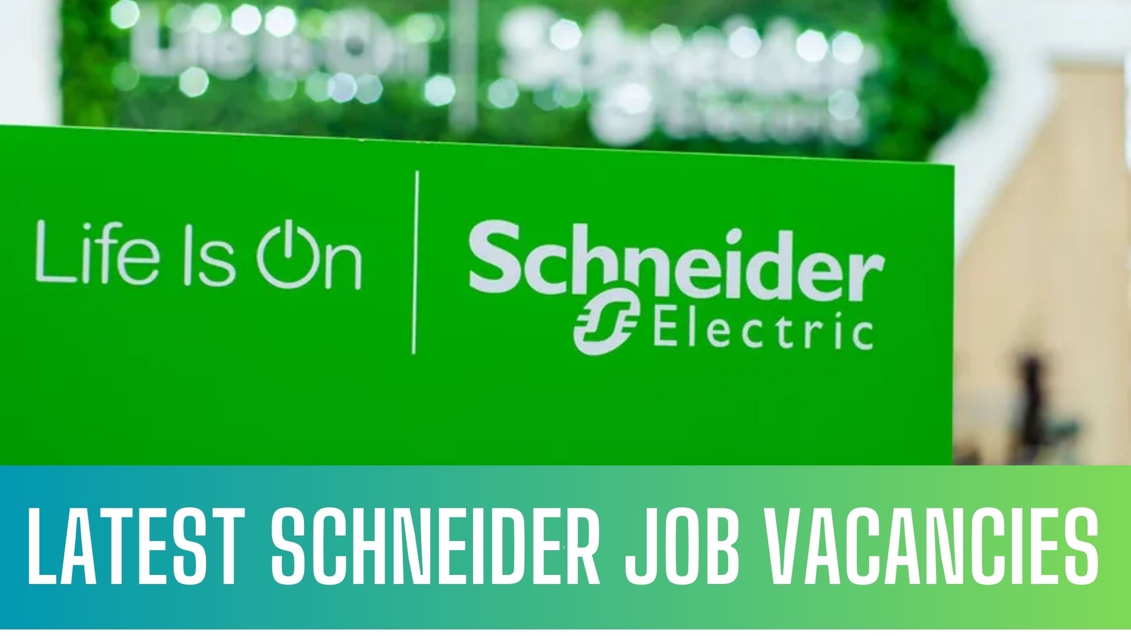 Schneider Electric Jobs In Dubai Announced Job Vacancies Apply Now