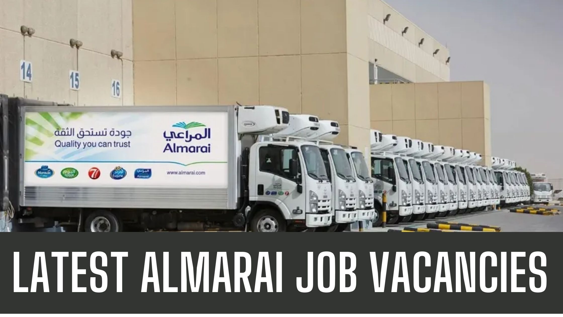 Almarai Recruiting Jobs Across UAE & Saudi Arabia Apply Now