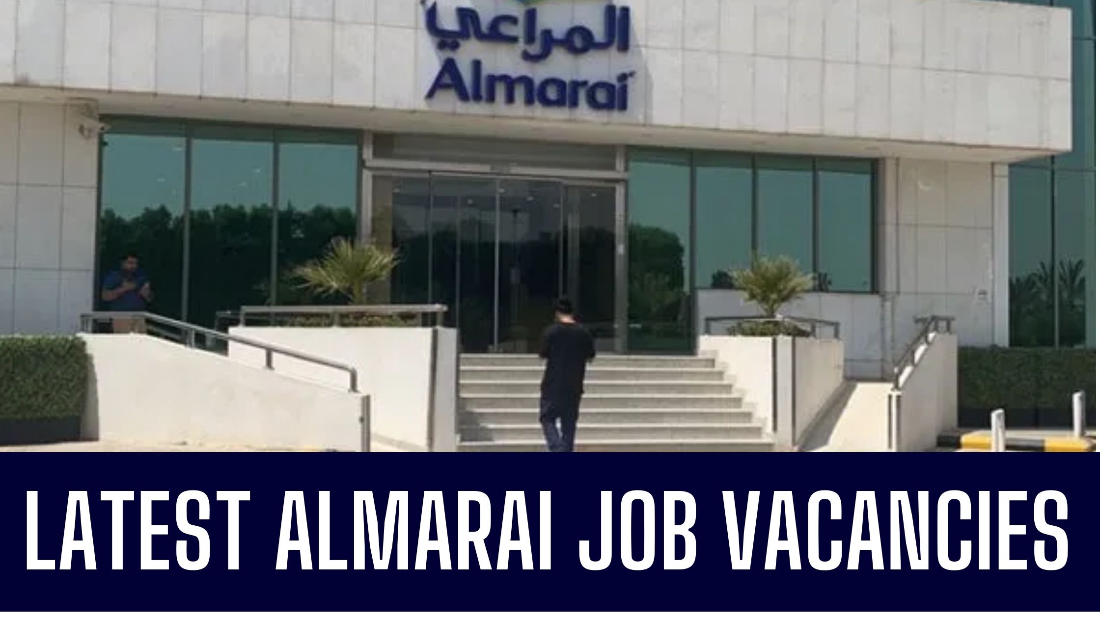 Almarai Jobs Recruiting Jobs Across UAE & Saudi Arabia Good Salary Apply Now